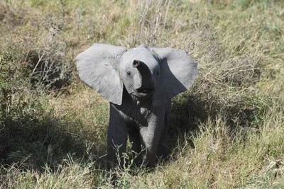 DSC_3871 (Large).JPG